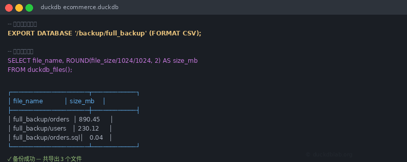DuckDB EXPORT Terminal Example